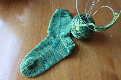 lisa sock