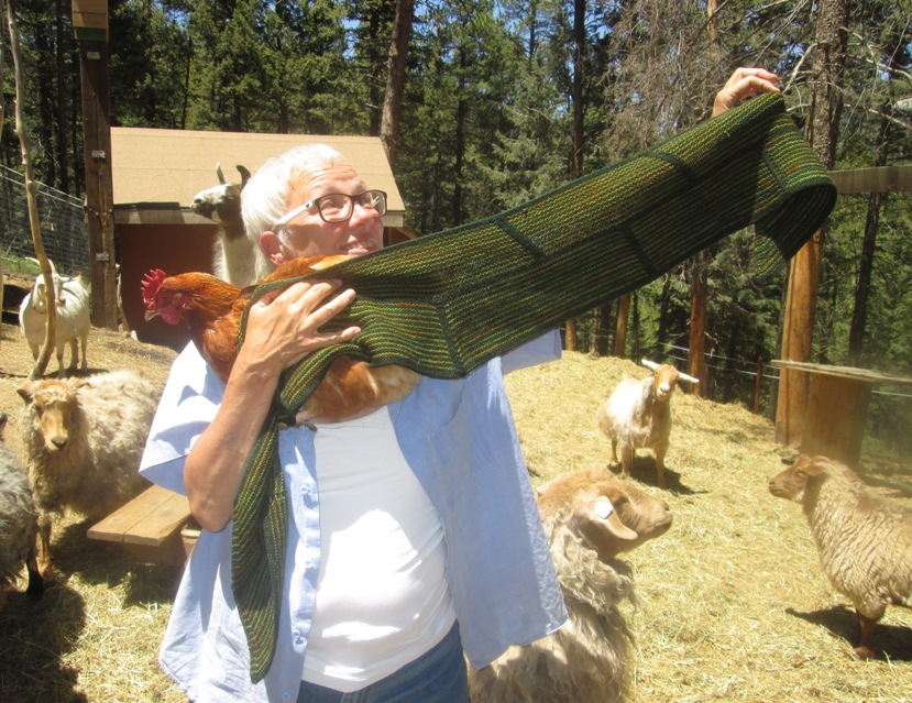 ???????????????????????????????