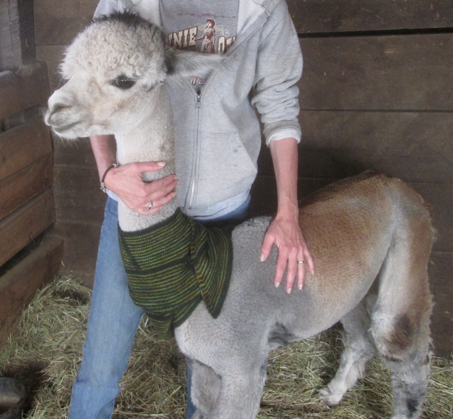 ???????????????????????????????